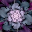 Purple Floractal Bloom